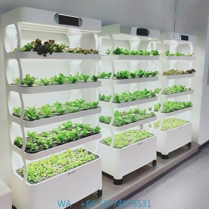 Home Automation Systems Diy - Iydroponic Automated Grow SystemIntelligentes Hydroponic Growing