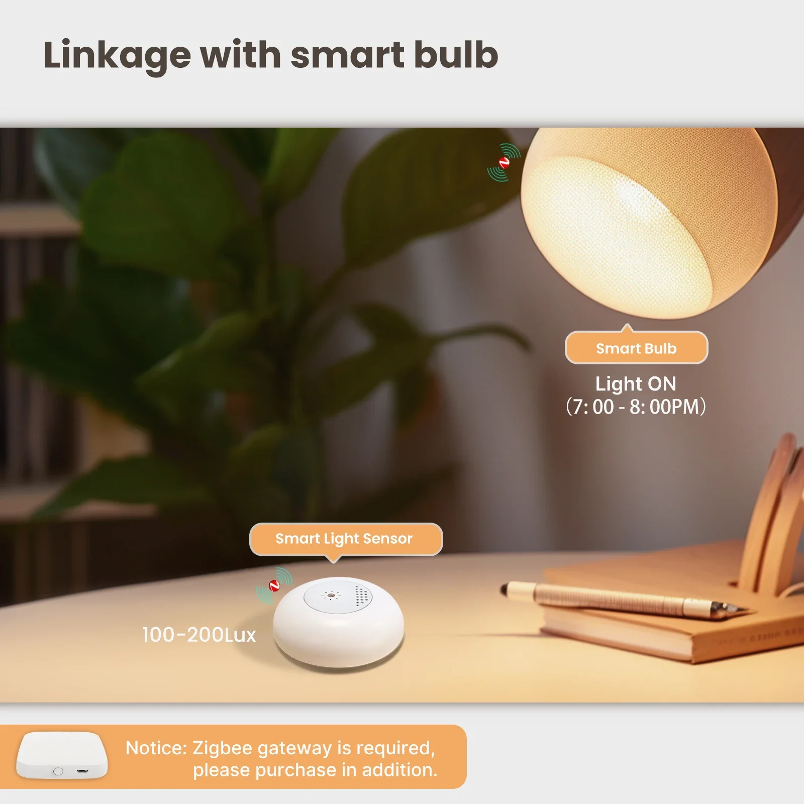 MOES Tuya Zigbee Smart Licht S – Home Automation Technology Bewertung und Preis